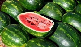 网红吃瓜圈八卦图片高清,高清图片背后的八卦风云