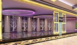 泰兴娱乐会所爆料事件,揭秘事件背后真相与争议